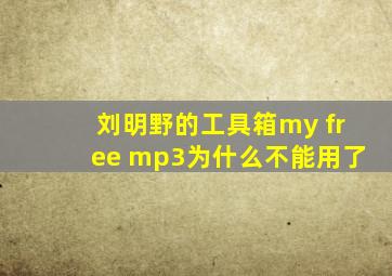 刘明野的工具箱my free mp3为什么不能用了